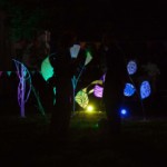 (c) Juliane Großmann