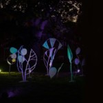 (c) Juliane Großmann