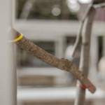 (c) Juliane Großmann