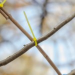 (c) Juliane Großmann