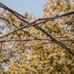 (c) Juliane Großmann