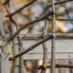 (c) Juliane Großmann