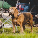 Tag 1 - 05.09.2021 (c) Franky Siegler